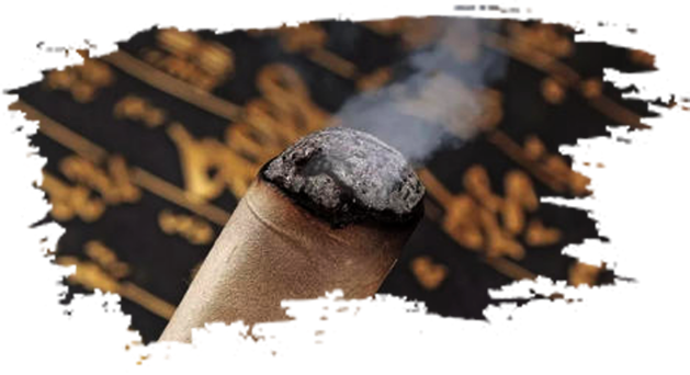 公司介绍图片